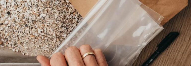 Czy prochy psa można trzymać w domu? Praktyczne porady i osobiste wspomnienia