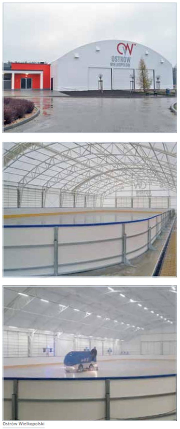 Ekologiczne aspekty lodowiska