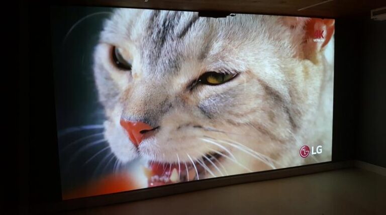 Jak wybrać idealną farbę do projektora, aby poprawić jakość obrazu?