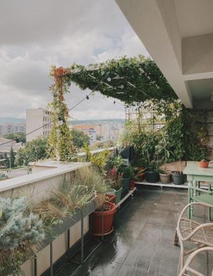 Jesienne kwiaty na balkon