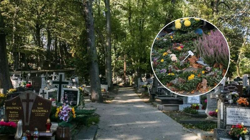Rośliny sezonowe na cmentarz