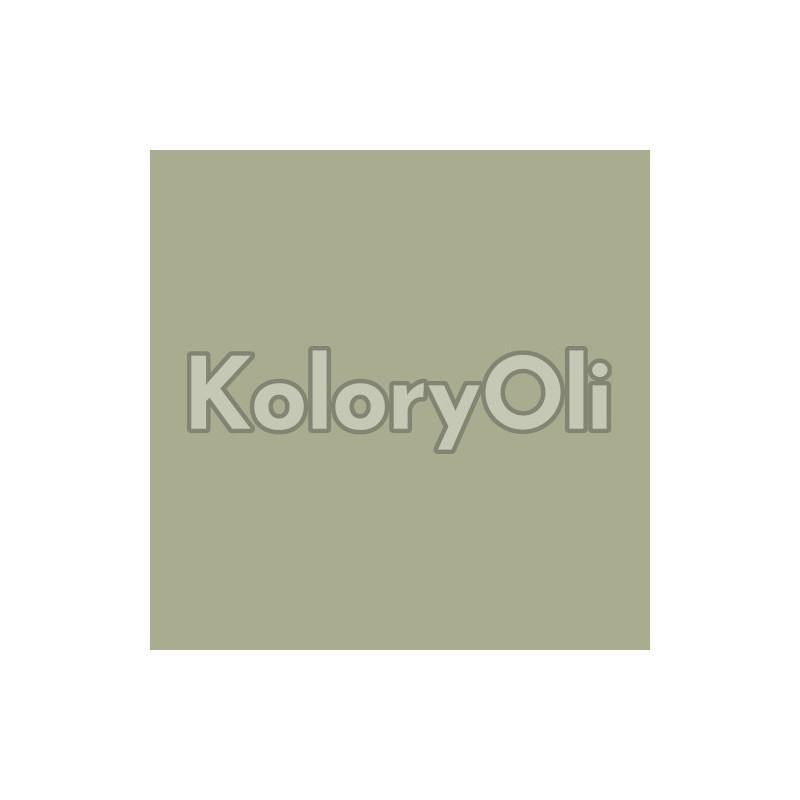 Sekrety uzyskania oliwkowego koloru farby – sprawdź, jak to zrobić!