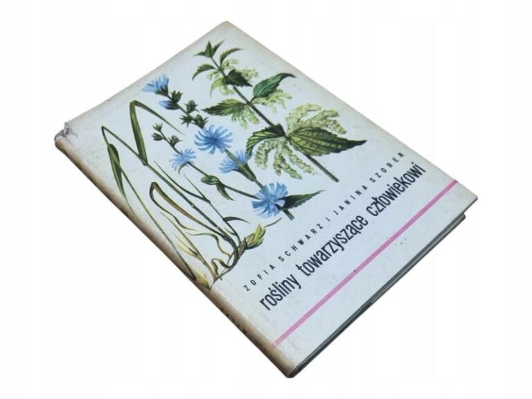 Idealne rośliny do towarzystwa – co posadzić obok świerka srebrnego?