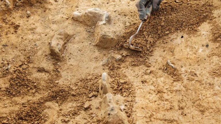 Jak skutecznie pogłębiać fundamenty budowli – kluczowe wskazówki i techniki