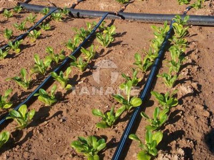 Przewodnik krok po kroku: Jak zbudować efektywne nawadnianie kropelkowe w ogrodzie