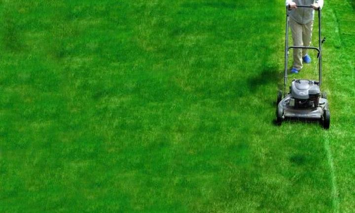 Cena koszenia trawnika