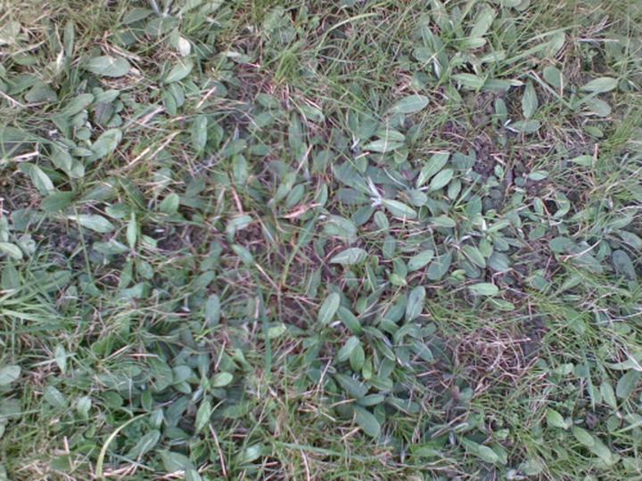 Skuteczne metody ochrony