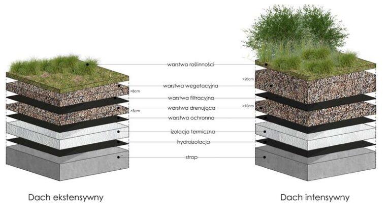 Ile zapłacisz za metr kwadratowy zielonego dachu? Sprawdź aktualne ceny!