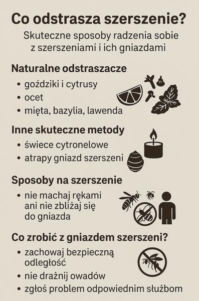 Metody na pozbycie się szerszeni