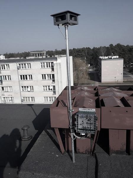 Odstraszanie wróbli