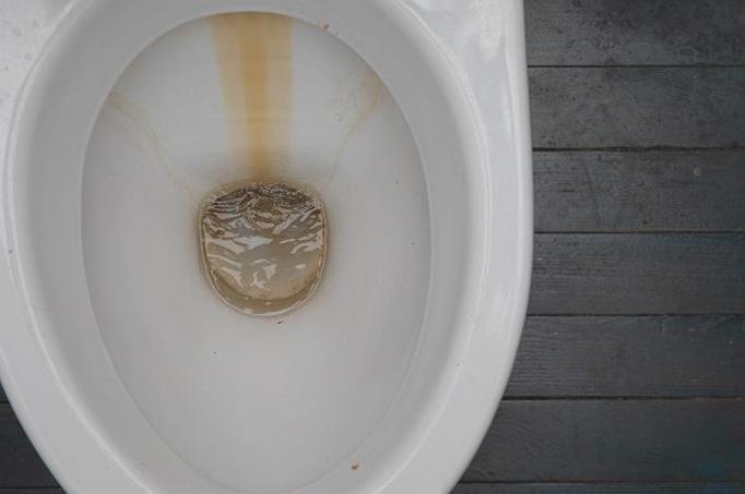 Jak wyczyścić toaletę