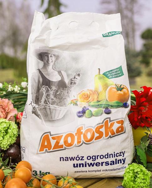 Nawożenie trawnika azofoską
